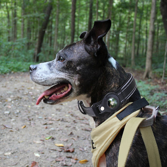 Pet GPS Tracker Protective Collar Cover