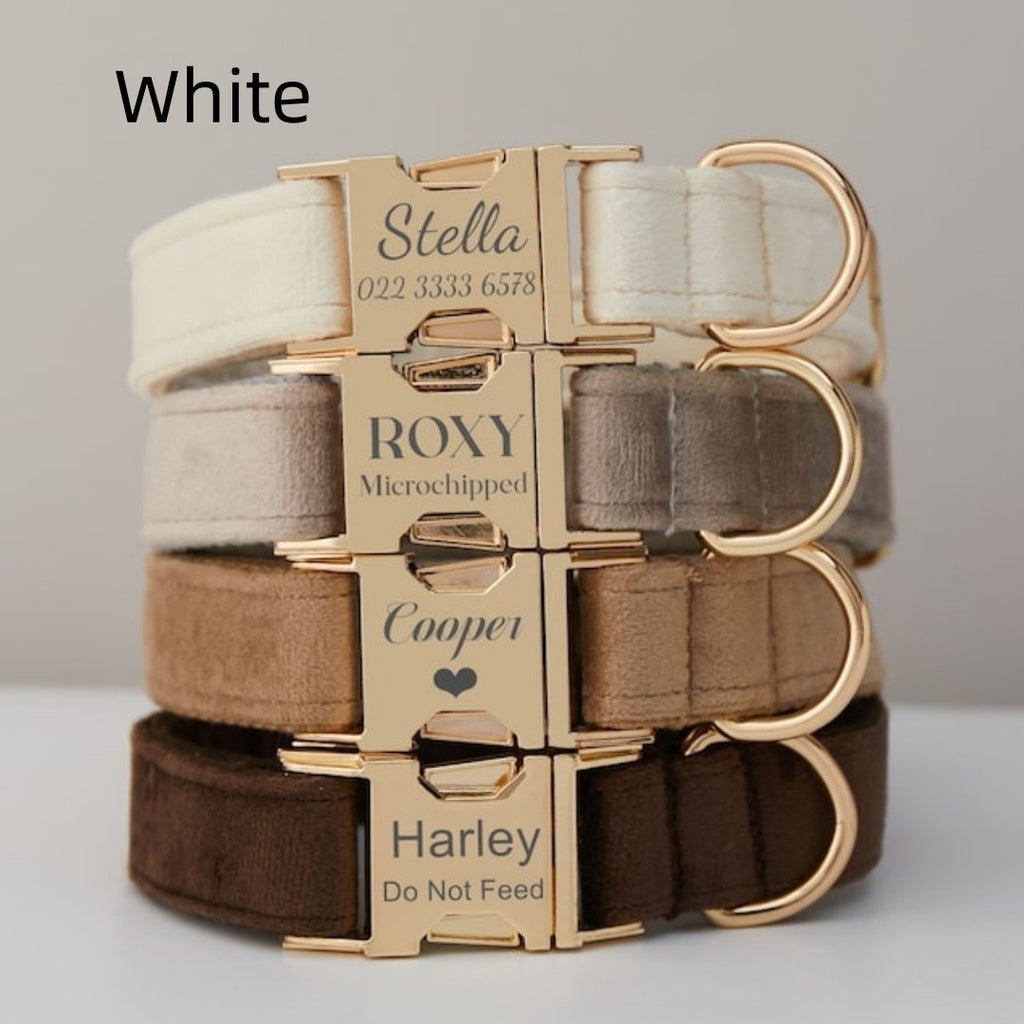 Velvet Personalized Dog Collar and Leash Set