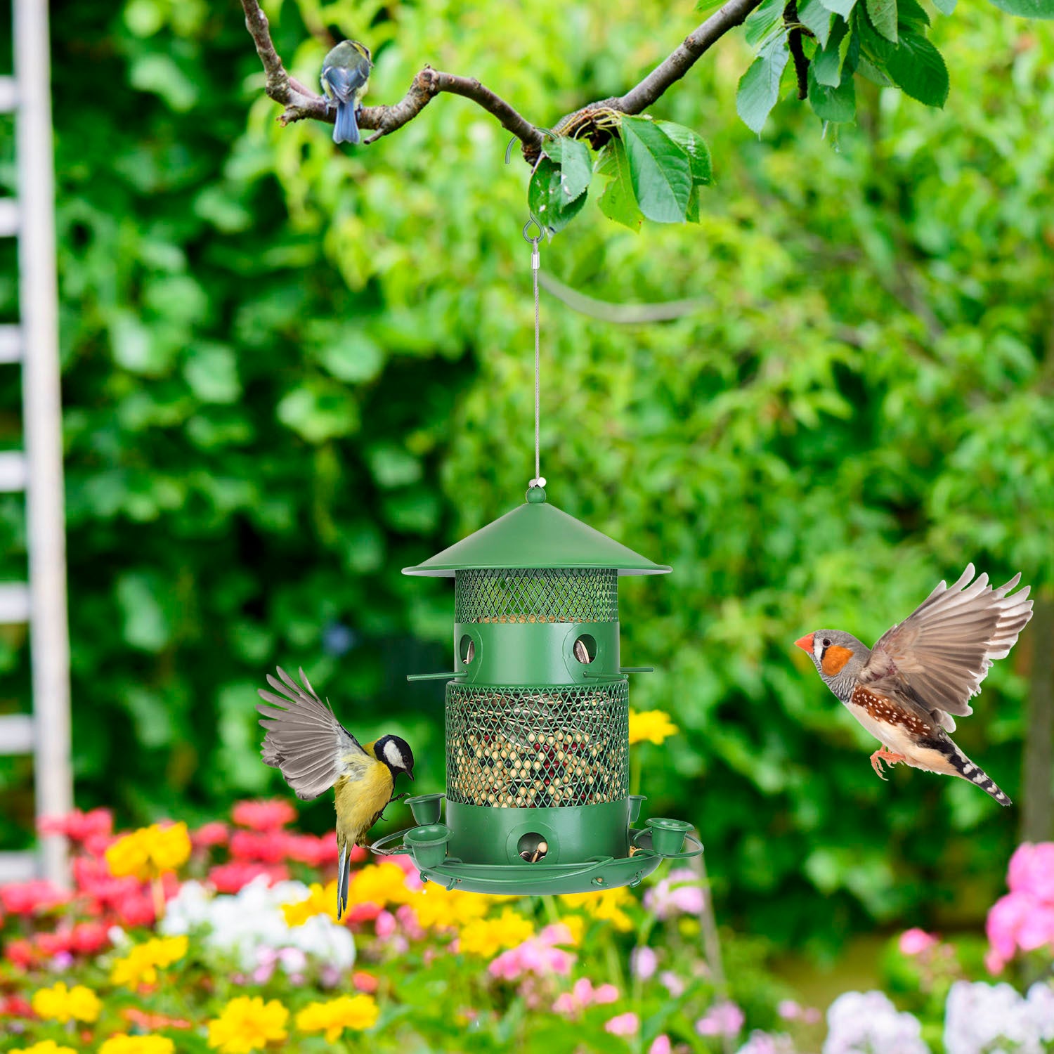 Squirrel-Proof Metal Outdoor Hanging Bird Feeder