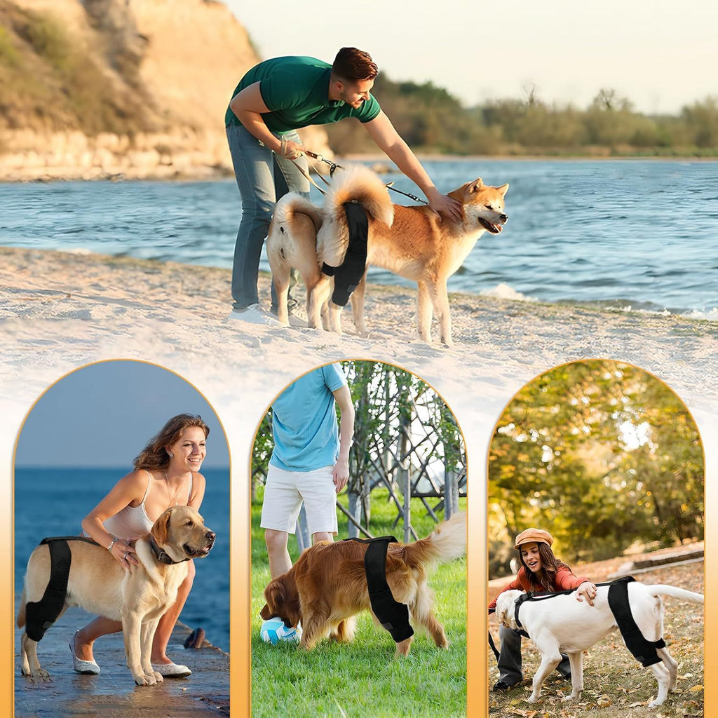 Dog Knee Brace Joint Support Protector