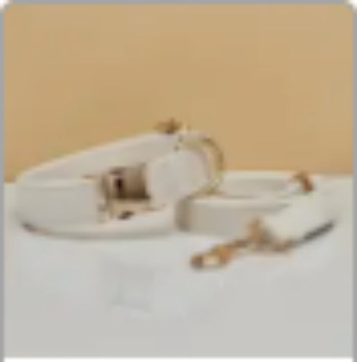 Velvet Personalized Dog Collar and Leash Set