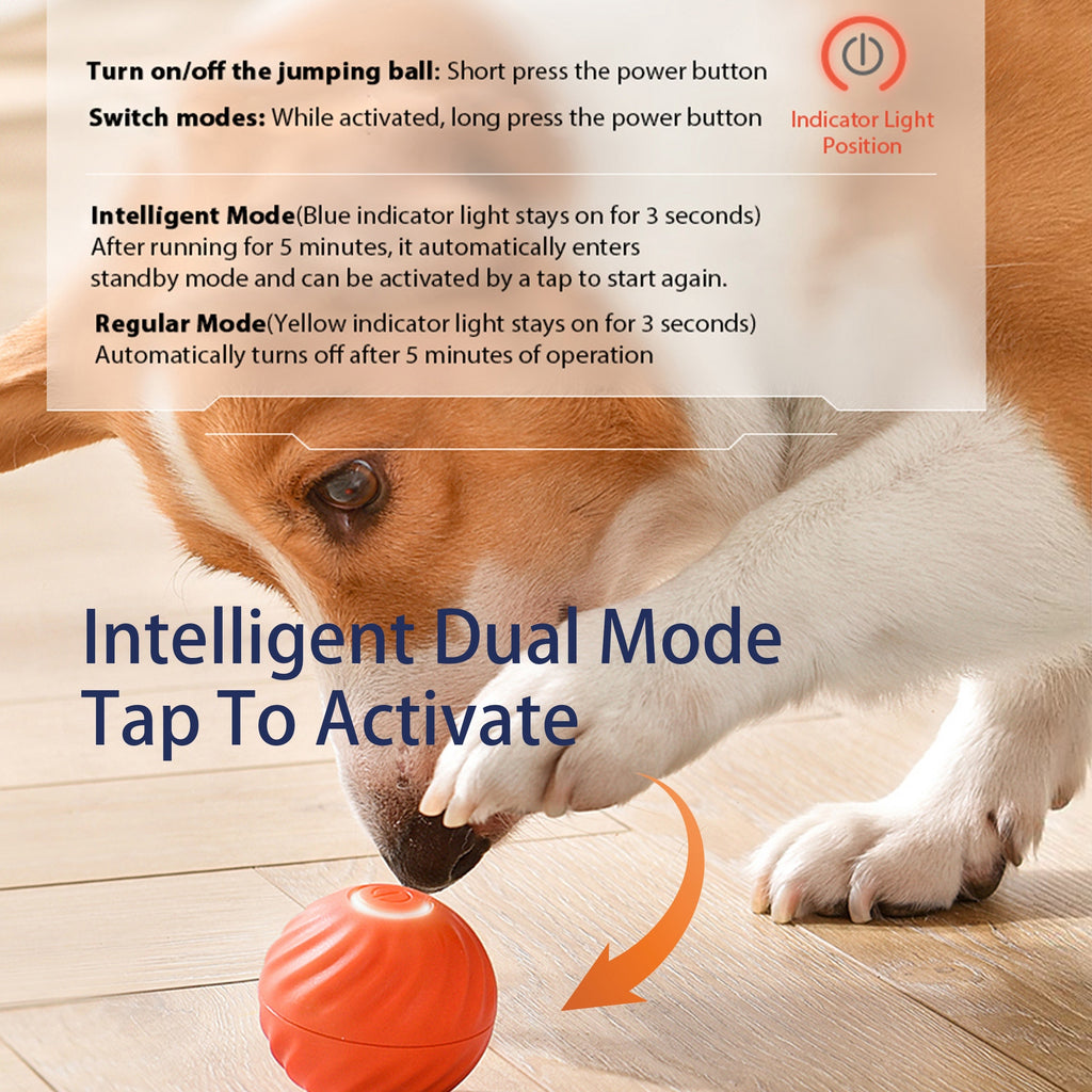 Smart Interactive Automatic Bouncing Dog Toy