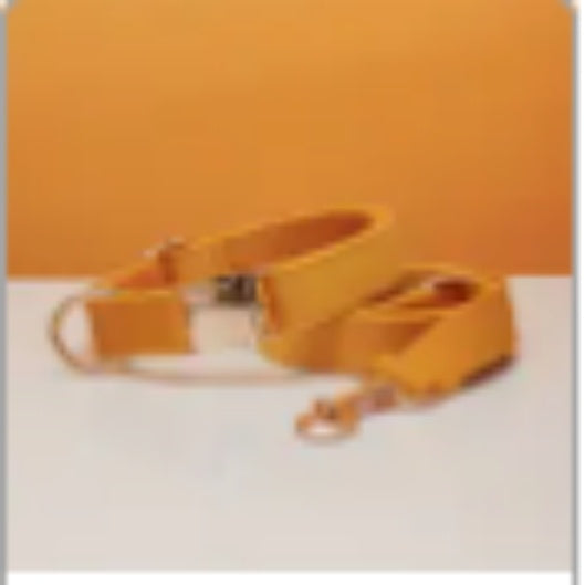 Velvet Personalized Dog Collar and Leash Set