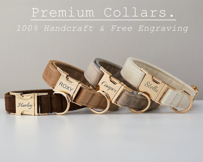 Velvet Personalized Dog Collar and Leash Set