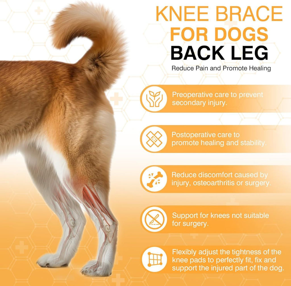 Dog Knee Brace Joint Support Protector