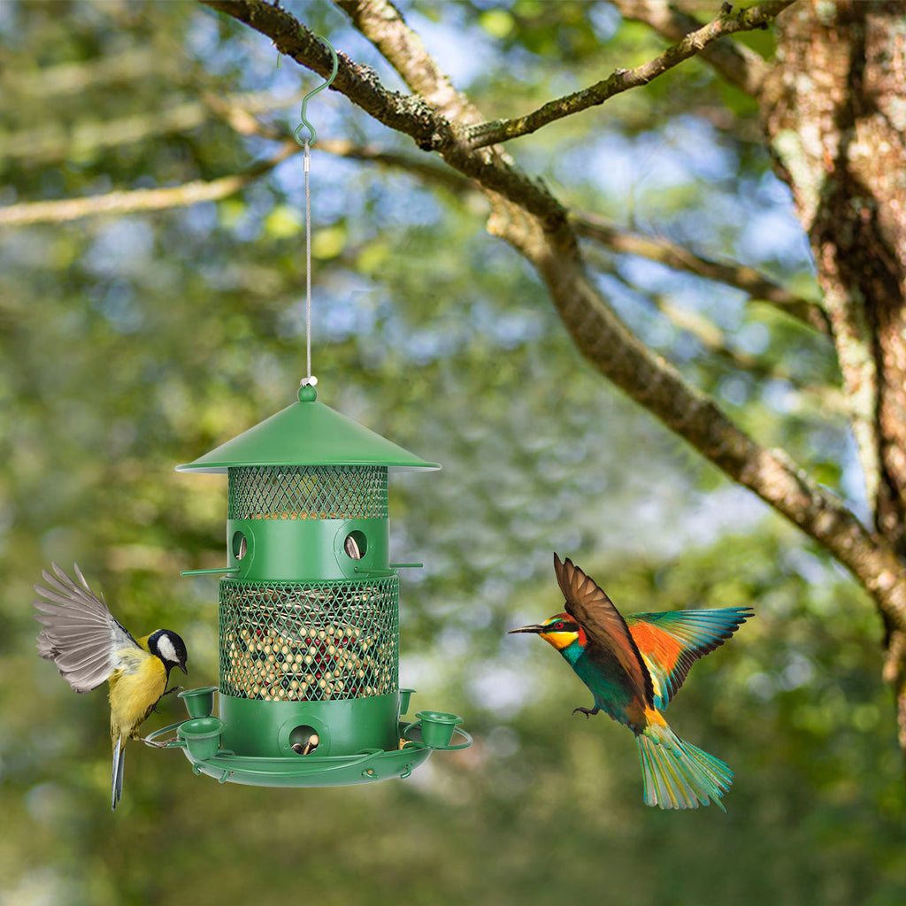 Squirrel-Proof Metal Outdoor Hanging Bird Feeder