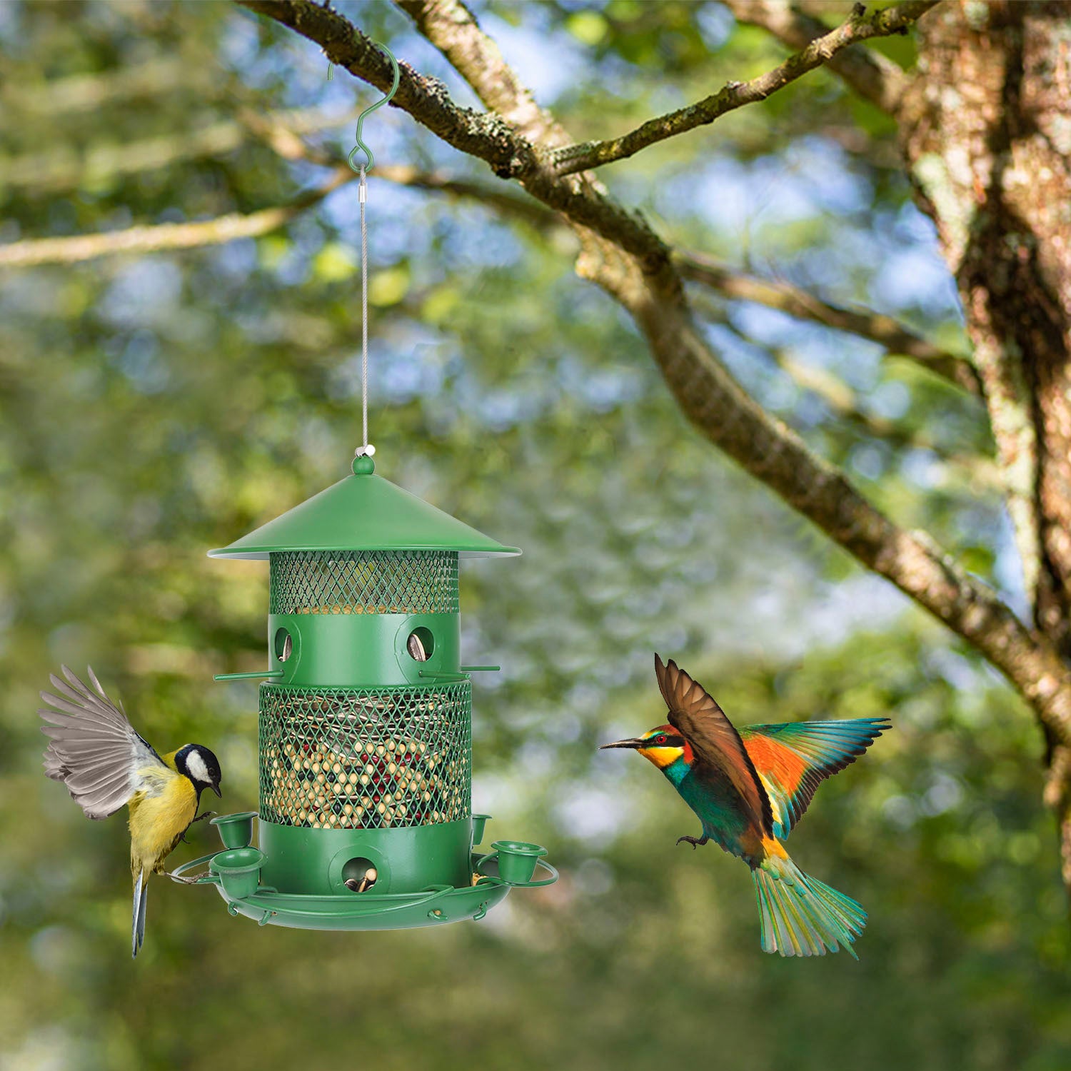 Squirrel-Proof Metal Outdoor Hanging Bird Feeder