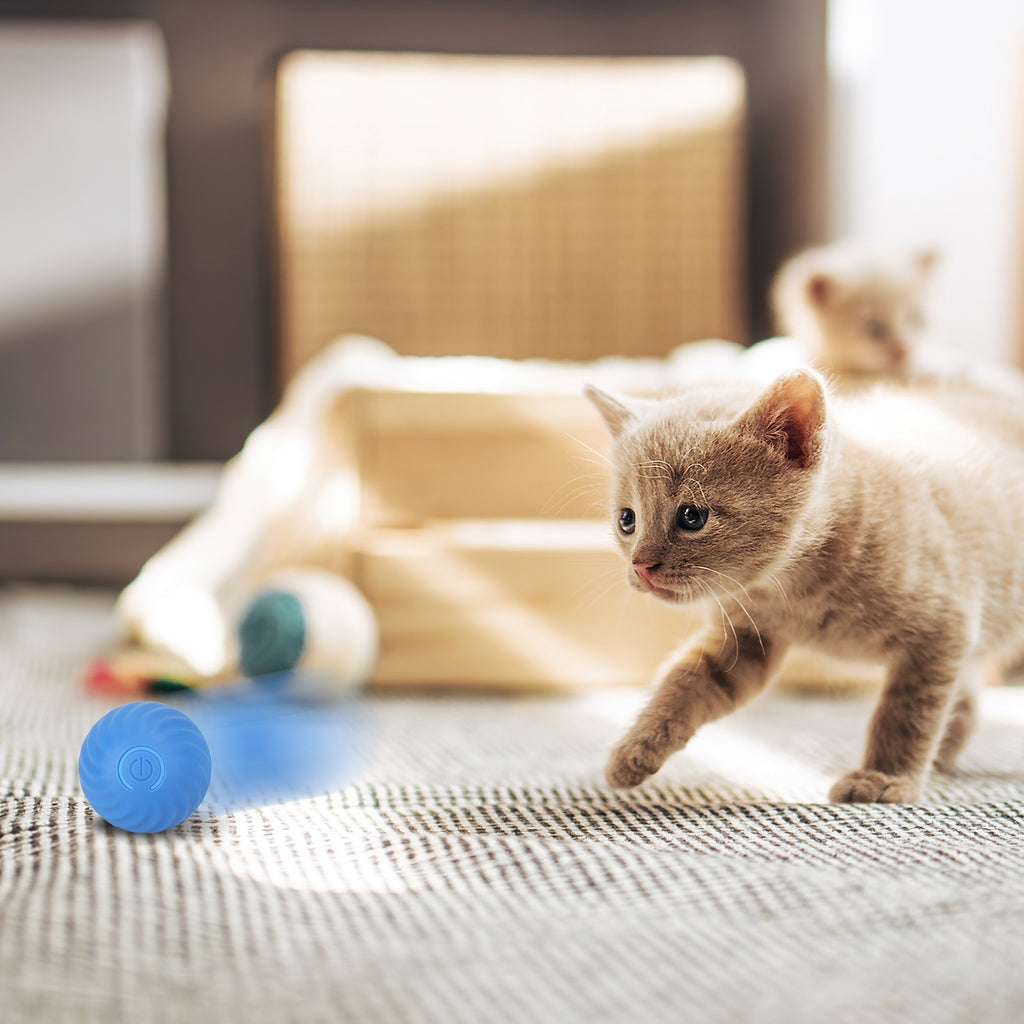 Rechargeable Motion-Activated Interactive Cat Toy Ball