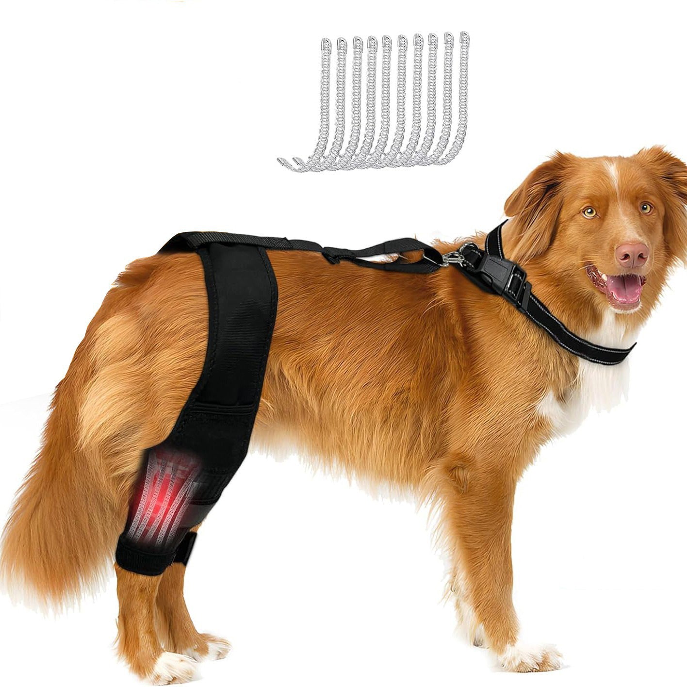 Dog Knee Brace Joint Support Protector
