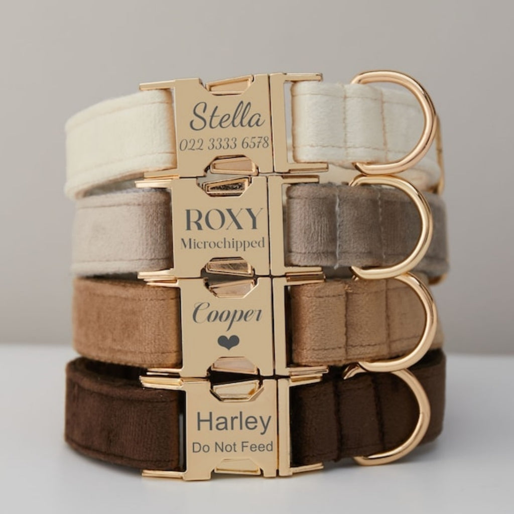 Velvet Personalized Dog Collar and Leash Set