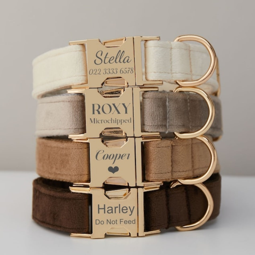 Velvet Personalized Dog Collar and Leash Set